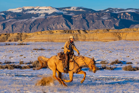 USA- Shell- Wyoming. Hideout Ranch cowgirl riding fast snows.  Black Modern Wood Framed Art Print by Gulin, Darrell