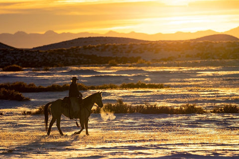 USA- Shell- Wyoming. Hideout Ranch sunset and silhouetted cowboy.  Black Ornate Wood Framed Art Print with Double Matting by Gulin, Darrell