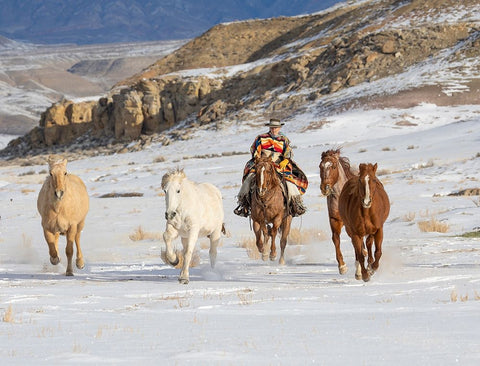 USA- Shell- Wyoming. Hideout Ranch cowboy riding and herding horses in snow.  White Modern Wood Framed Art Print with Double Matting by Gulin, Darrell