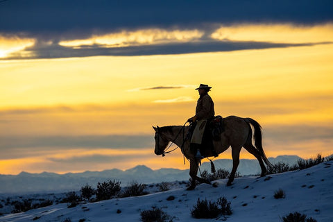 USA- Shell- Wyoming. Hideout Ranch cowgirl silhouetted on horseback at sunset.  Black Ornate Wood Framed Art Print with Double Matting by Gulin, Darrell