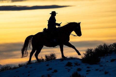 USA- Shell- Wyoming. Hideout Ranch cowgirl silhouetted on horseback at sunset.  White Modern Wood Framed Art Print with Double Matting by Gulin, Darrell