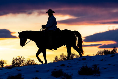 USA- Shell- Wyoming. Hideout Ranch cowboy on horseback silhouetted at sunset.  Black Modern Wood Framed Art Print by Gulin, Darrell