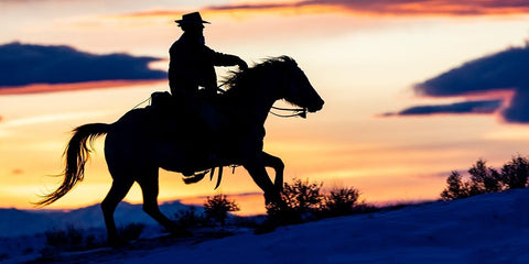 USA- Shell- Wyoming. Hideout Ranch cowgirl silhouetted on horseback at sunset.  Black Modern Wood Framed Art Print by Gulin, Darrell