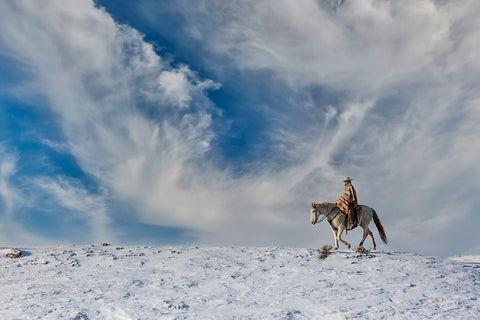 USA- Shell- Wyoming. Hideout Ranch cowgirl on horseback riding on ridgeline snow.  Black Modern Wood Framed Art Print by Gulin, Darrell