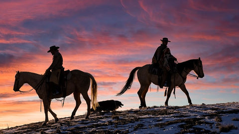 USA- Shell- Wyoming. Hideout Ranch cowgirls and dog silhouetted against sunsets sky.  Black Modern Wood Framed Art Print by Gulin, Darrell