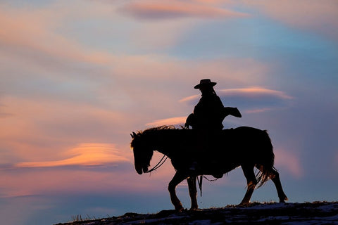 USA- Shell- Wyoming. Hideout Ranch cowgirl silhouetted on horseback at sunset.  White Modern Wood Framed Art Print with Double Matting by Gulin, Darrell