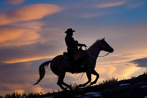 USA- Shell- Wyoming. Hideout Ranch cowboy on horseback silhouetted at sunset.  Black Ornate Wood Framed Art Print with Double Matting by Gulin, Darrell