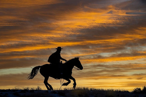 USA- Shell- Wyoming. Hideout Ranch cowgirl silhouetted on horseback at sunset.  Black Ornate Wood Framed Art Print with Double Matting by Gulin, Darrell