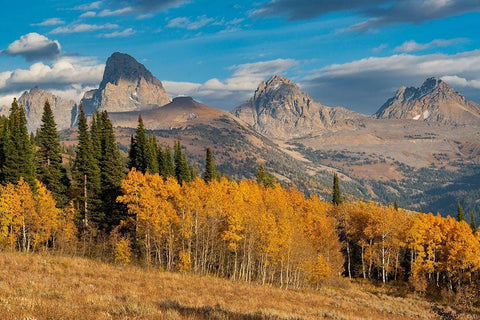 Landscape of Mt Owen-Grand Teton and Middle Teton from the west-golden fall foliage White Modern Wood Framed Art Print with Double Matting by Garber, Howie
