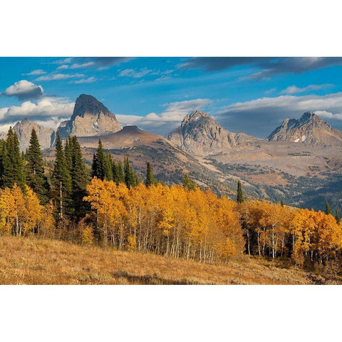 Landscape of Mt Owen-Grand Teton and Middle Teton from the west-golden fall foliage White Modern Wood Framed Art Print by Garber, Howie