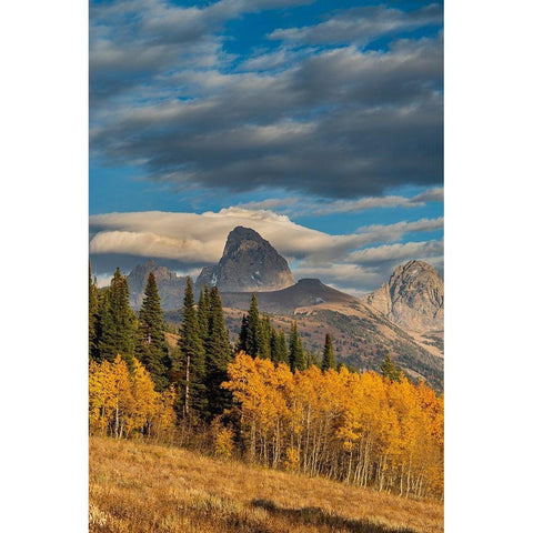 Landscape of Mt Owen-Grand Teton and Middle Teton from the west-golden fall foliage Gold Ornate Wood Framed Art Print with Double Matting by Garber, Howie