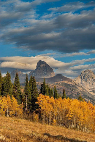 Landscape of Mt Owen-Grand Teton and Middle Teton from the west-golden fall foliage White Modern Wood Framed Art Print with Double Matting by Garber, Howie