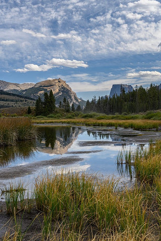 USA-Wyoming-White Rock Mountain and Squaretop Peak above Green River wetland-Wind River Mountains Black Ornate Wood Framed Art Print with Double Matting by Garber, Howie
