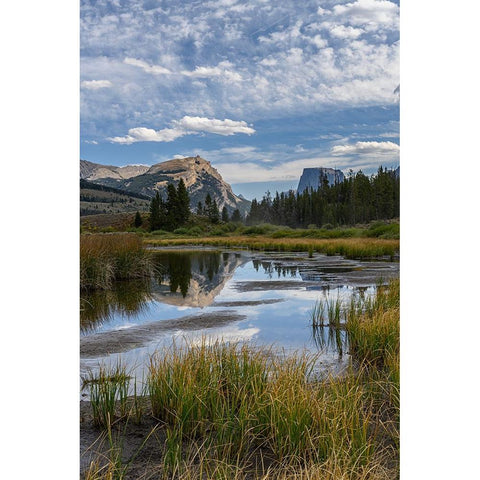 USA-Wyoming-White Rock Mountain and Squaretop Peak above Green River wetland-Wind River Mountains Black Modern Wood Framed Art Print with Double Matting by Garber, Howie