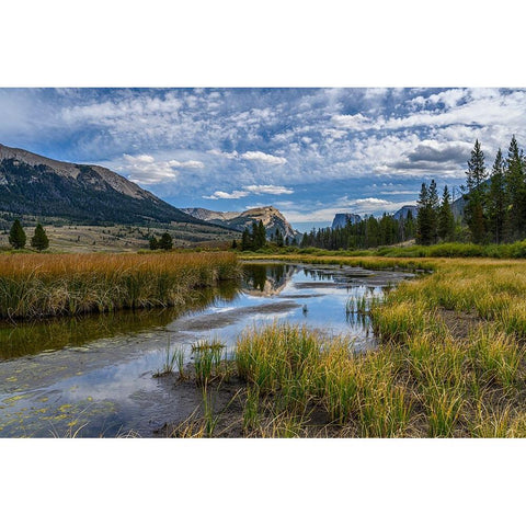 USA-Wyoming-White Rock Mountain and Squaretop Peak above Green River wetland White Modern Wood Framed Art Print by Garber, Howie