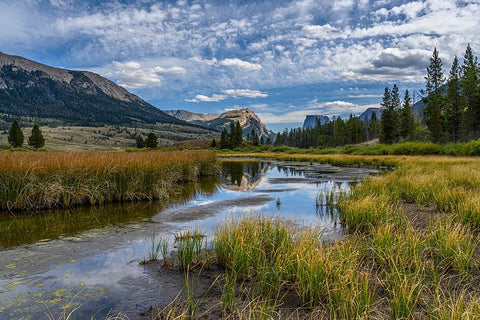 USA-Wyoming-White Rock Mountain and Squaretop Peak above Green River wetland Black Ornate Wood Framed Art Print with Double Matting by Garber, Howie
