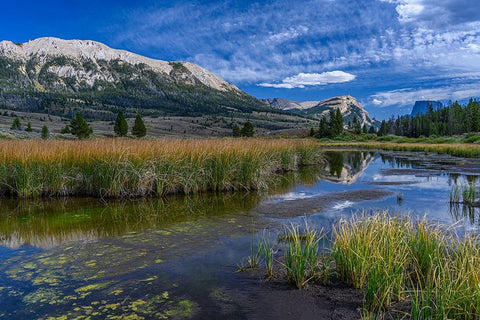 USA-Wyoming-White Rock Mountain and Squaretop Peak above Green River wetland White Modern Wood Framed Art Print with Double Matting by Garber, Howie