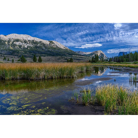 USA-Wyoming-White Rock Mountain and Squaretop Peak above Green River wetland Black Modern Wood Framed Art Print by Garber, Howie