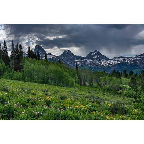 USA-Wyoming-Geranium and arrowleaf balsamroot wildflowers in meadow-west side of Teton Mountains White Modern Wood Framed Art Print by Garber, Howie