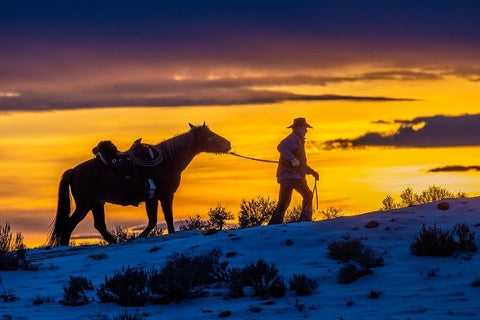 USA- Wyoming. Hideout Horse Ranch- wrangler and horse at sunset.  White Modern Wood Framed Art Print with Double Matting by Looney, Hollice