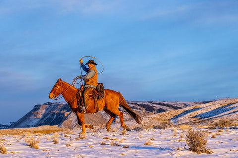 USA- Wyoming. Hideout Horse Ranch- wrangler and horse in snow.  White Modern Wood Framed Art Print with Double Matting by Looney, Hollice