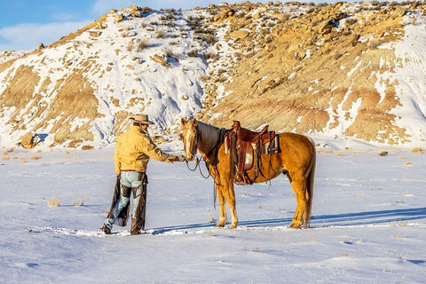 USA- Wyoming. Hideout Horse Ranch- wrangler and horse in snow.  White Modern Wood Framed Art Print with Double Matting by Looney, Hollice