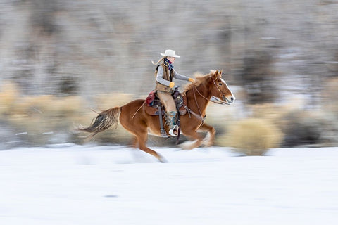 USA- Wyoming. Hideout Horse Ranch- wrangler on horseback in snow.  Black Ornate Wood Framed Art Print with Double Matting by Looney, Hollice