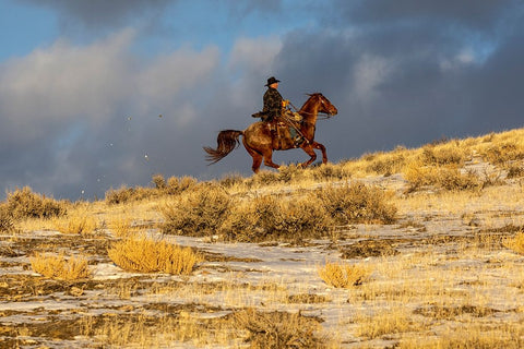 USA- Wyoming. Hideout Horse Ranch- wrangler on horseback in snow.  Black Ornate Wood Framed Art Print with Double Matting by Looney, Hollice