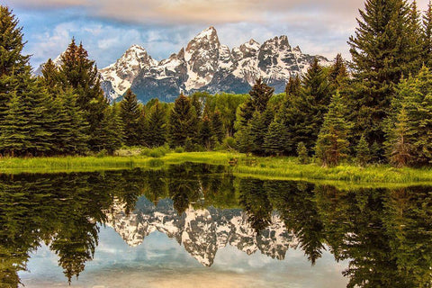 Schwabacher Landing-Tetons-Wyoming Black Ornate Wood Framed Art Print with Double Matting by Ford, John