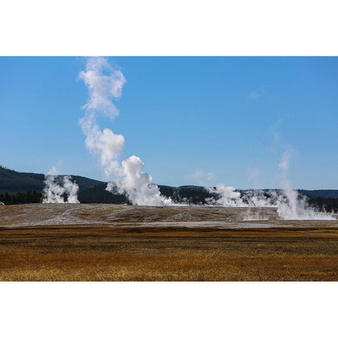 Yellowstone National Park-USA-Wyoming Old Faithful White Modern Wood Framed Art Print by Sienda, Jolly