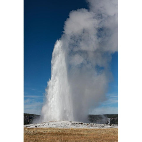 Yellowstone National Park-USA-Old Faithful Gold Ornate Wood Framed Art Print with Double Matting by Sienda, Jolly