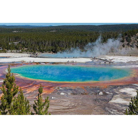Yellowstone National Park-USA-Wyoming Grand Prismatic Spring with tourist Black Modern Wood Framed Art Print by Sienda, Jolly