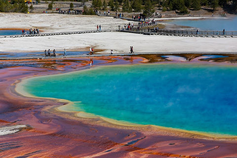 Yellowstone National Park-USA-Wyoming Grand Prismatic Spring with tourist Black Ornate Wood Framed Art Print with Double Matting by Sienda, Jolly