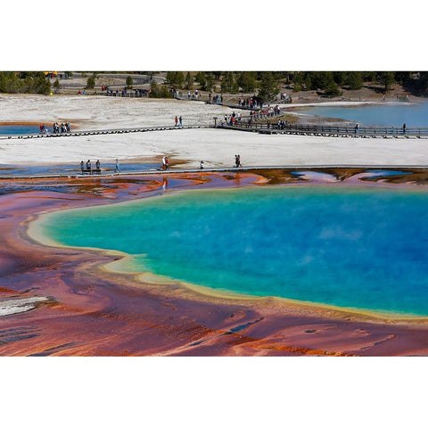 Yellowstone National Park-USA-Wyoming Grand Prismatic Spring with tourist Black Modern Wood Framed Art Print by Sienda, Jolly