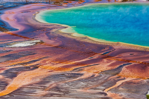 Yellowstone National Park-USA-Wyoming Grand Prismatic Spring-Midway Geyser Basin White Modern Wood Framed Art Print with Double Matting by Sienda, Jolly