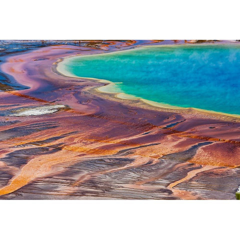 Yellowstone National Park-USA-Wyoming Grand Prismatic Spring-Midway Geyser Basin Black Modern Wood Framed Art Print by Sienda, Jolly