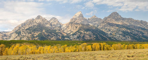 Wyoming- Grand Teton National Park. Teton Range with Grand Teton and golden Aspen trees Black Ornate Wood Framed Art Print with Double Matting by Wild, Jamie and Judy