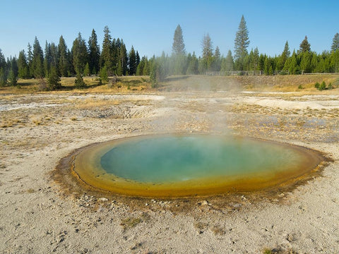 Wyoming- Yellowstone National Park. West Thumb Geyser Basin- Abyss Pool White Modern Wood Framed Art Print with Double Matting by Wild, Jamie and Judy