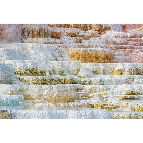 Travertine terraces at Minerva Spring-Mammoth Hot Springs-Yellowstone National Park-Wyoming-USA Black Modern Wood Framed Art Print by Bishop, Russ