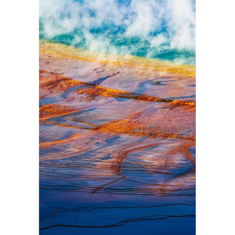 Grand Prismatic Spring-Yellowstone National Park-Wyoming-USA Black Modern Wood Framed Art Print by Bishop, Russ