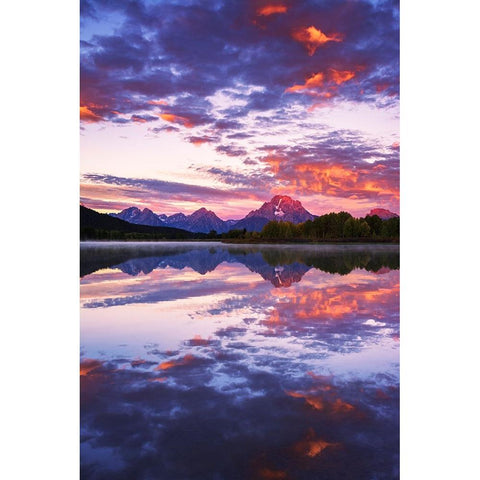Dawn light over the Tetons from Oxbow Bend-Grand Teton National Park-Wyoming-USA White Modern Wood Framed Art Print by Bishop, Russ