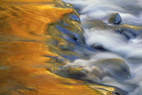 Northeast, Fall reflections on stream rapids White Modern Wood Framed Art Print with Double Matting by Rotenberg, Nancy