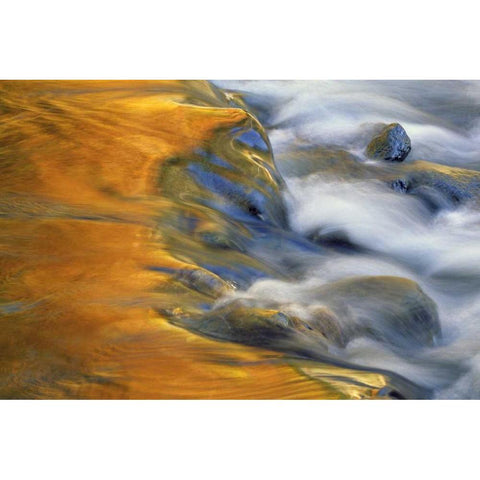 Northeast, Fall reflections on stream rapids Black Modern Wood Framed Art Print by Rotenberg, Nancy