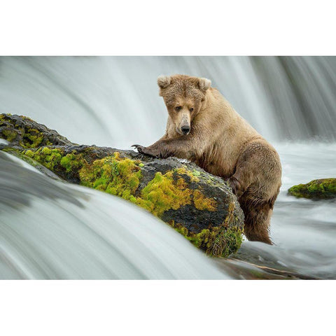 Left Wanting White Modern Wood Framed Art Print by Doyle, Renee