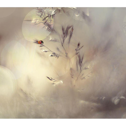 Little Lady Black Modern Wood Framed Art Print with Double Matting by Westum, Heidi