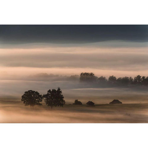 Dense Fog Over The Moos... Black Modern Wood Framed Art Print with Double Matting by Pauli, Nina