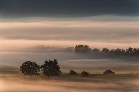 Dense Fog Over The Moos... White Modern Wood Framed Art Print with Double Matting by Pauli, Nina