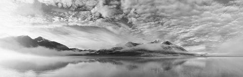 Morning Mist White Modern Wood Framed Art Print with Double Matting by Van Pareren, Marloes