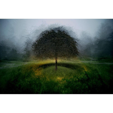 Eden Place White Modern Wood Framed Art Print by Malovrh, Milan