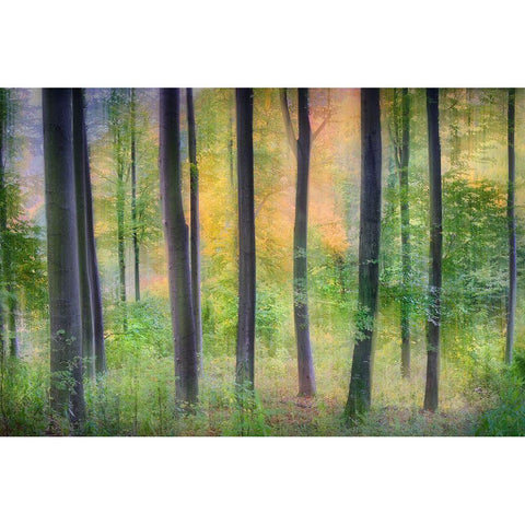 Dreamy Black Modern Wood Framed Art Print by Jochen, Burger